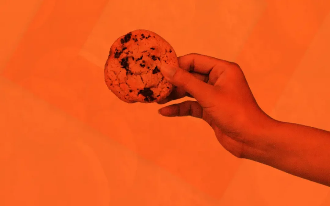 What is Changing With Third-Party Cookies & The Future of Online Privacy