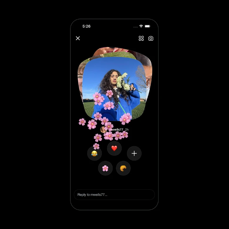 Screenshot of Instagram Instants