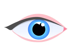illustration of an eye
